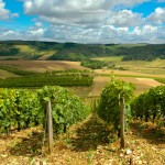 champagne-wine-region-1