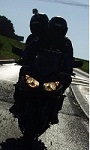 Avatar de l’utilisateur